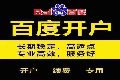SEM竞价代运营公司案例精选解读